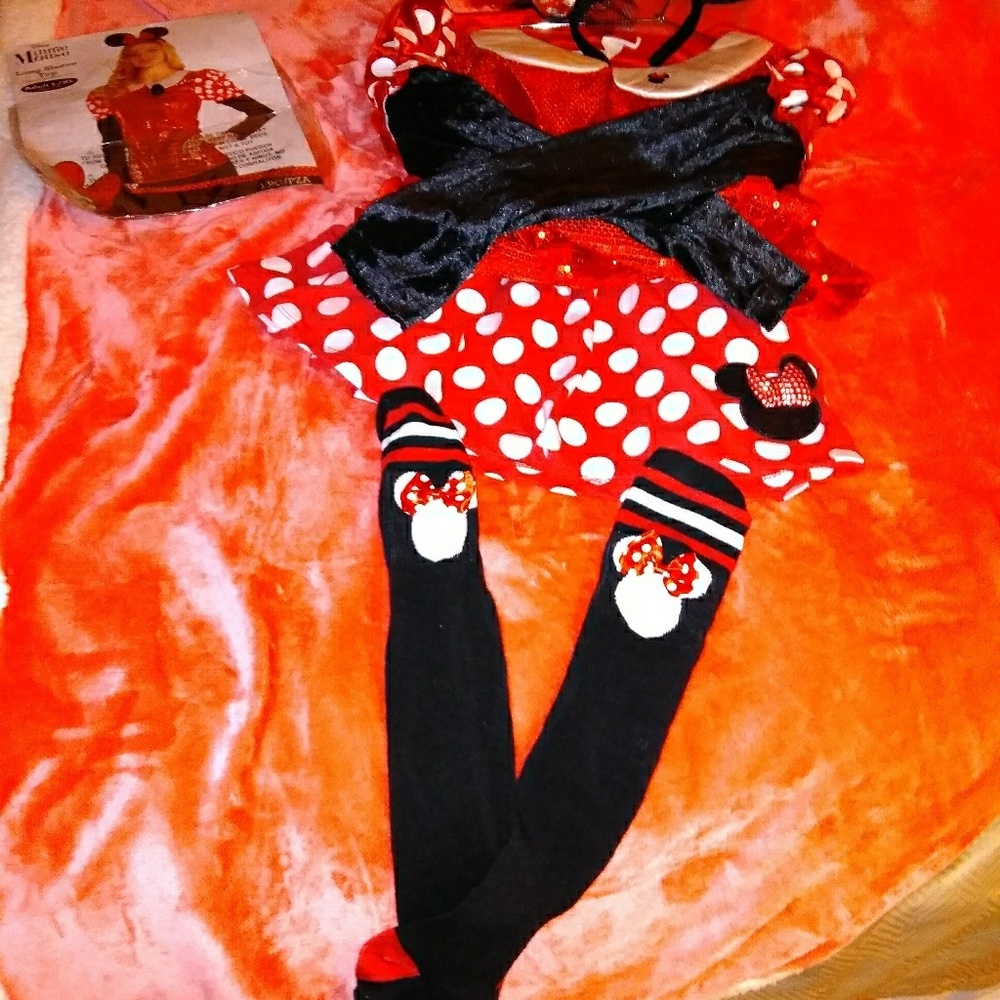 Adorable (Brand New) Minnie Mouse Costume